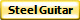 Steel Guitar